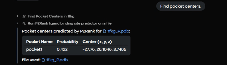 Figure 6. P2Rank results table displaying identified binding pocket with probability score (0.422) and 3D center coordinates (-27.76, 26.1046, 3.7486).