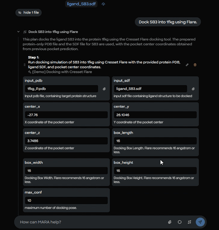 Figure 9. Flare docking parameter setup form showing input files (1fkg_P.pdb protein, ligand_SB3.sdf), binding site coordinates, and docking box dimensions (16 Å³).